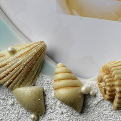 Guest Book - Beach Sea Shell