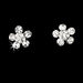 Charming Silver Clear Rhinestone & Crystal Bead Flower Necklace & Earring Set